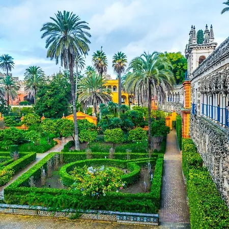 Casa Del Buen Viaje - Fandango * Seville