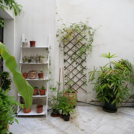 Apartamento Daoiz *