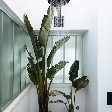 Apartment R26