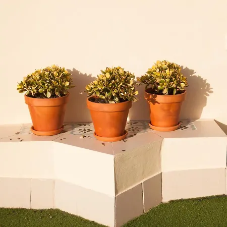 Guzman El Bueno Appartement