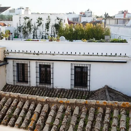 Apartamento Guzman El Bueno *