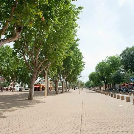Apartment Loft Alameda Wifi Parking Downtown Seville