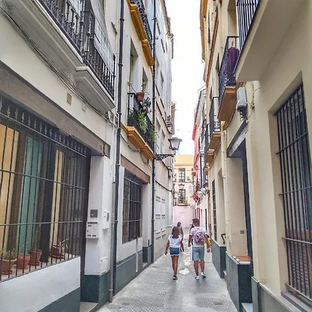 Cuarta Revuelta Alquiler * Seville