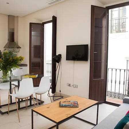 Guzman El Bueno Apartamento *