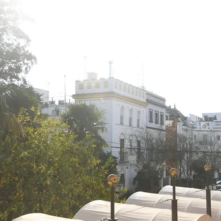 Wish Brasil De Apartment Seville