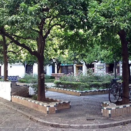 Doña Lina Sevilla