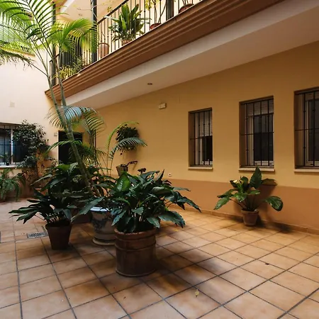 Sol With Garden