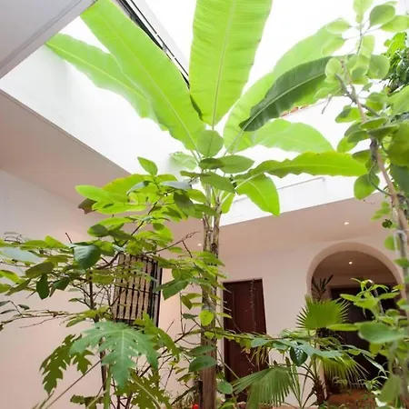 Apartment Cheap & Chic In The Center Of Seville