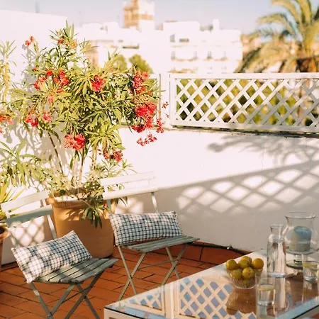 Atico Con Terraza En El Centro De Apartment Seville