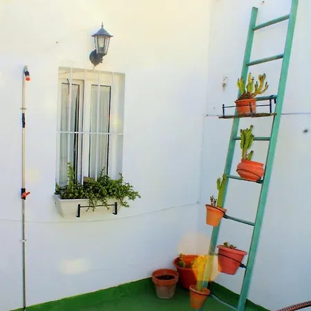 Plaza Nueva Terraza Seville