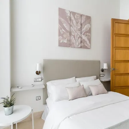 2e Stylish Bright Downtown Azofaifo Apartment