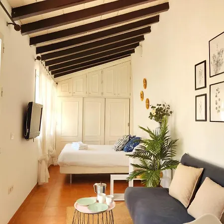 Apartment Stunning Attic With Private Terrace And Parking Optional Sevilla