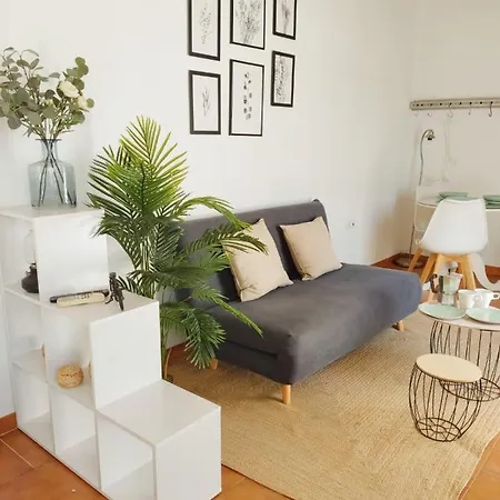 Stunning Attic With Private Terrace And Parking Optional Apartment