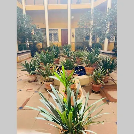 Cozy&quiet In Sanvicente St Andalusian Patio * Seville