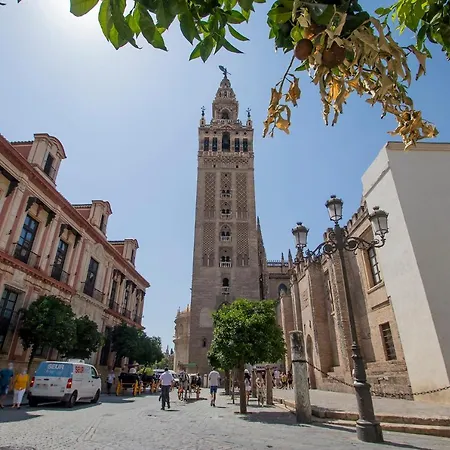 Apartamento Tranquilo Y Con Encanto En Palacio Sevillano, Junto Catedral A Acond Y Wifi Apartment