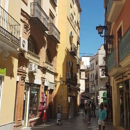 Apartamento Tranquilo Y Con Encanto En Palacio Sevillano, Junto Catedral A Acond Y Wifi