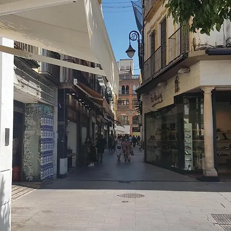 Apartamento Tranquilo Y Con Encanto En Palacio Sevillano, Junto Catedral A Acond Y Wifi