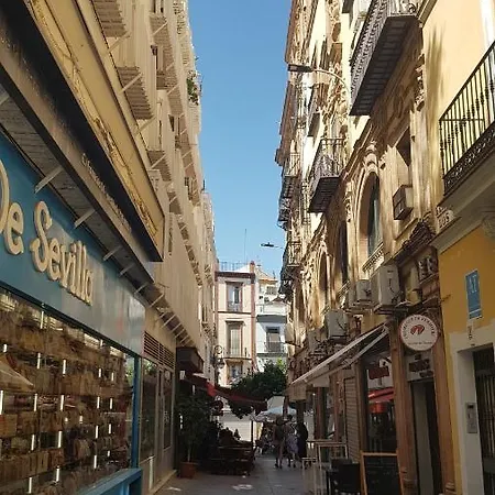 Apartamento Tranquilo Y Con Encanto En Palacio Sevillano, Junto Catedral A Acond Y Wifi Seville