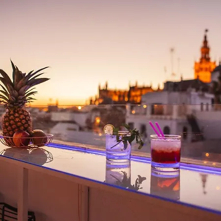 Hotell Halo Boutique