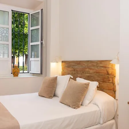 Hotel Boutique Elvira Plaza