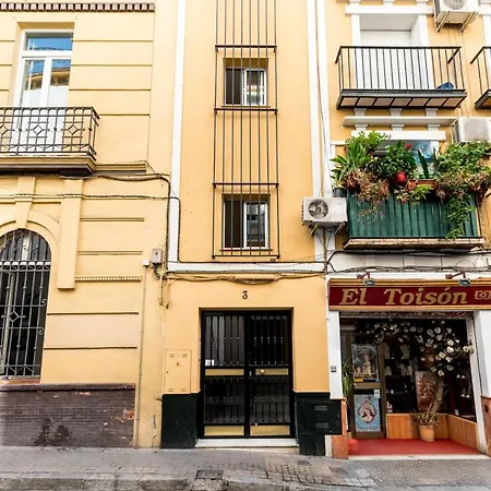 Apartment Behouse Campana Seville