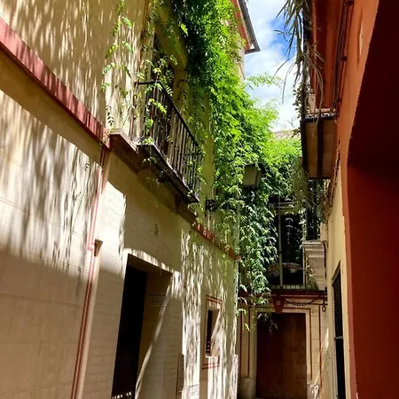 Apartment Acogedor 8pax 4bdr 2bth - Cozyhomesevilla1 Seville