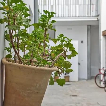 Covadonga 9 - Triana Appartement Sevilla