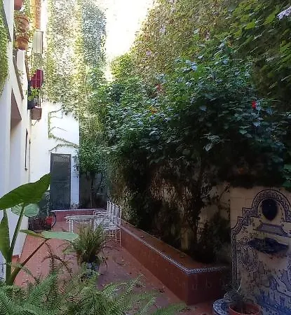 Apartamento Santa Cruz 3 * Seville