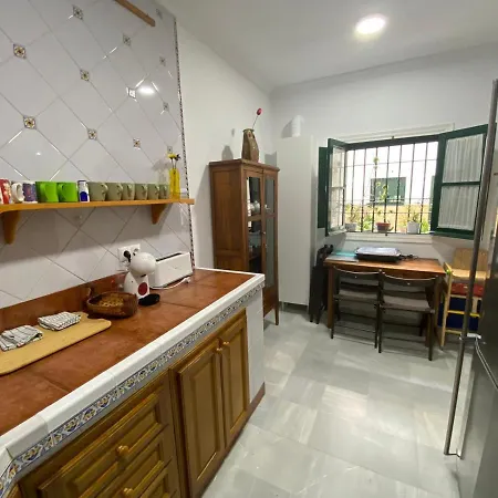 Apartment Fantastico Duplex Corazon De La Juderia Seville