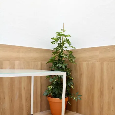 Apartment Wish Santa Cruz Verde De Seville