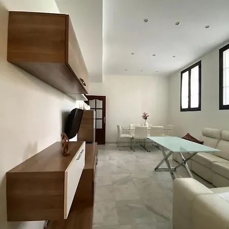 Apartment Luminoso Apartamento En Triana Seville