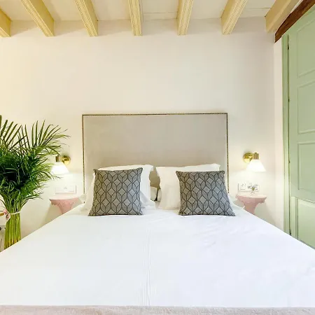 Juderia De Vi Luxury Apartment