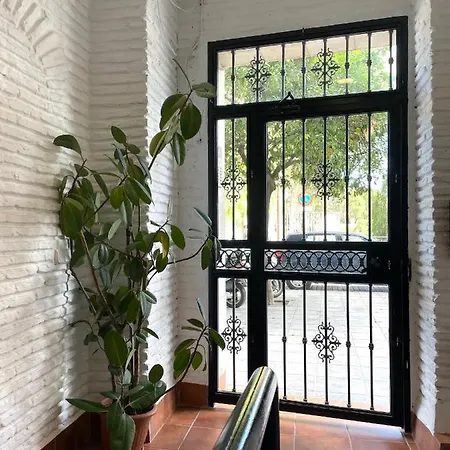 Selva La Bella. En El Corazon De Triana Apartment