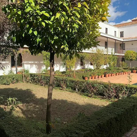 Apartment In Former Monastery With Patio In City Centre Free Parking Apartment Seville