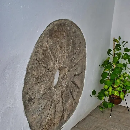 Apartment Covadonga 9 - Triana Seville