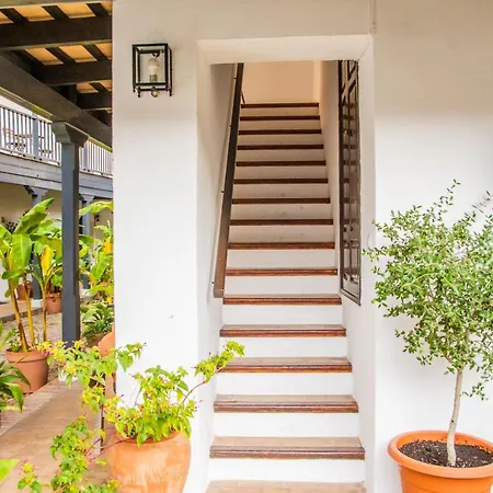 New In Traditional Building Of The Xvi Century * Seville