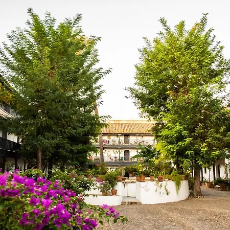 New In Traditional Building Of The Xvi Century Apartment Seville