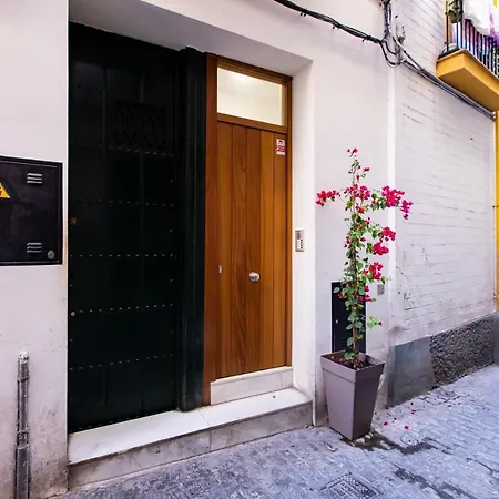 El Palomar Appartement
