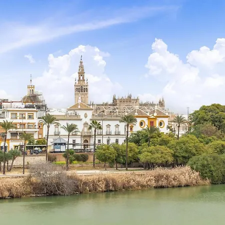 1 Bedroom Awesome In * Seville