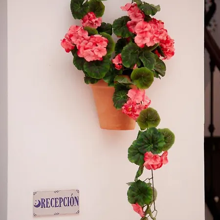 Hotel Noches En Triana Seville