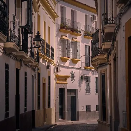 Premium Al Lado De La Giralda Apartment *