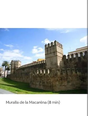 En El Casco Antiguo Junto Alameda H. * Sevilla