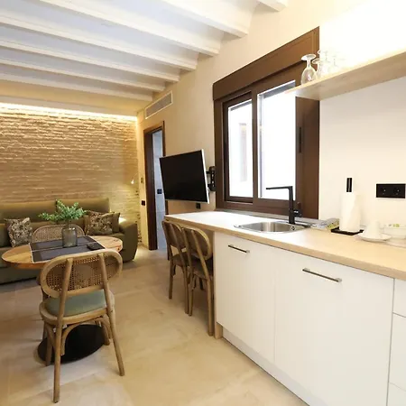 Casa Senorial Del Siglo Xviii Lejlighedshotel
