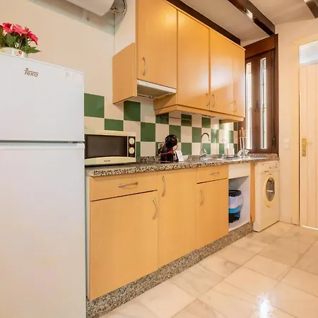 Apartment Precioso Apartamento En Triana *