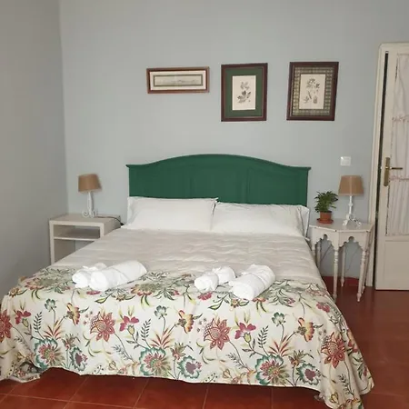 Apartment Remedios *
