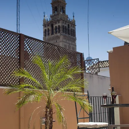 Life Giralda *