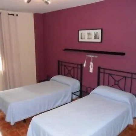 Jentoft Sevilla
