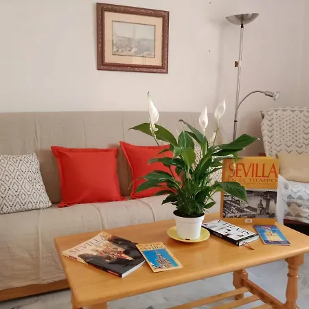Wish Setas De Apartment Seville