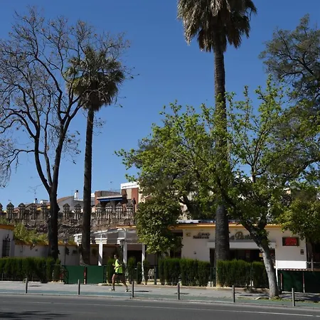 Apartment First Floor Near Macarena Church Seville