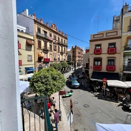 Ad1b Arenal 3br Apartment, 250 Mtrs From Cathedral